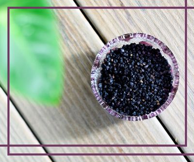 A Simple Way to Care for Your Family: Homemade Elderberry Syrup
