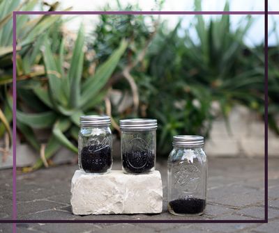 Building a Simple Wellness Cabinet for Your Home