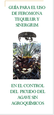 FOLLETO TRAMPEO DE PICUDO DEL AGAVE