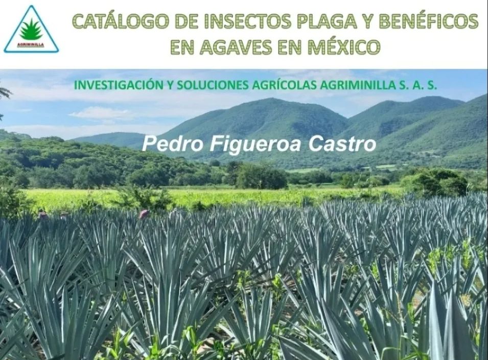 catálogo impreso de insectos plaga y benéficos en agaves