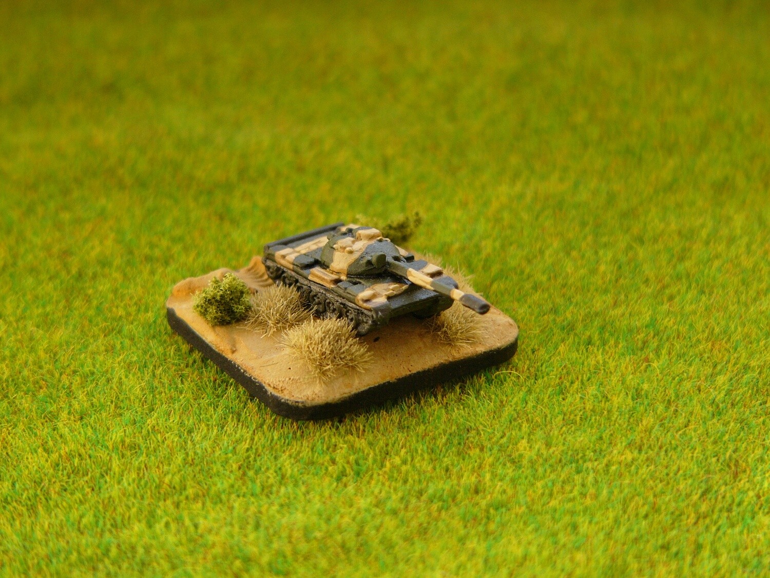 SM06 T-55