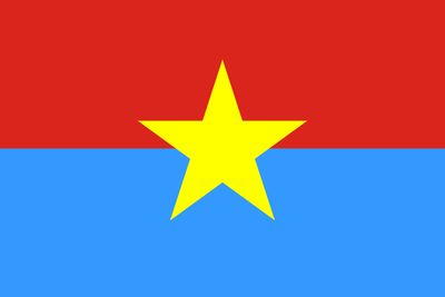 Viet Cong