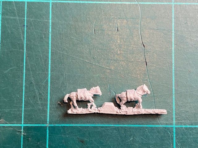 AD AN 17C Ammo horses walking