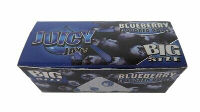 Juicy Blueberry Rolls