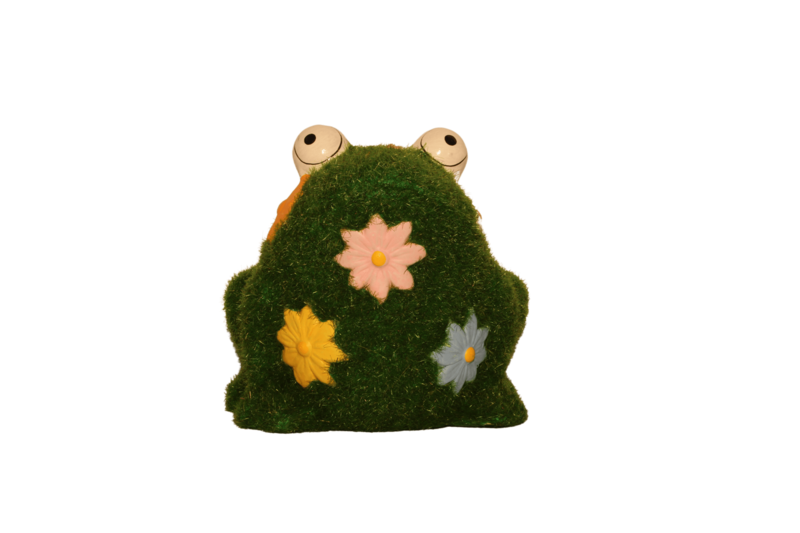 Frühlingsfrosch