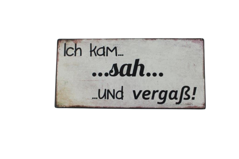 Spruchtafel "Ich kam, sah und vergass"