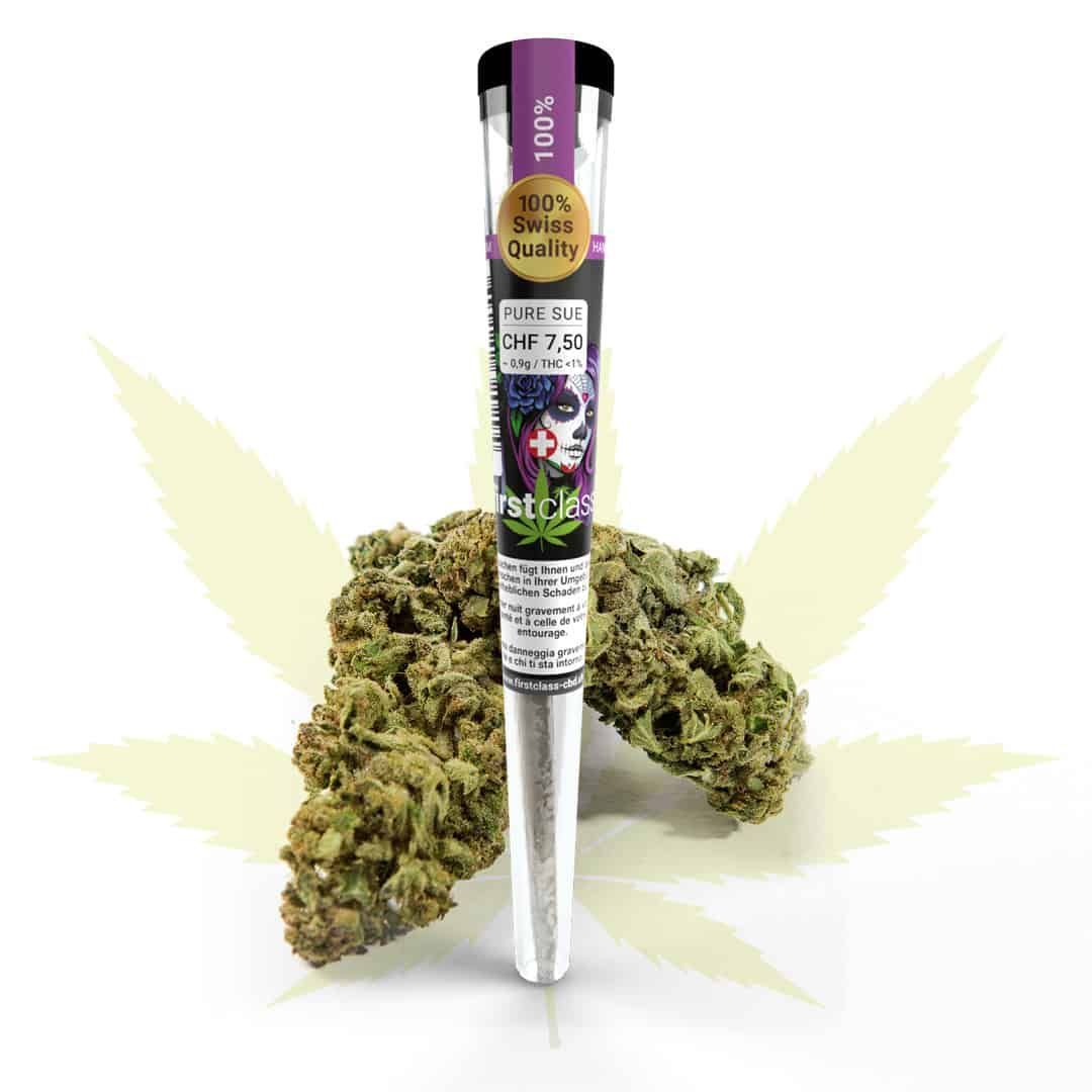 first class, CBD Joint Pure Canna Sue Indoor THC<1%