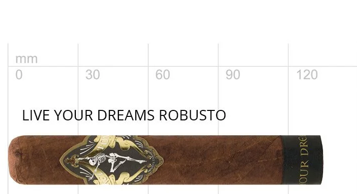 Skel Ton Live your Dreams, Robusto, 1 Stück