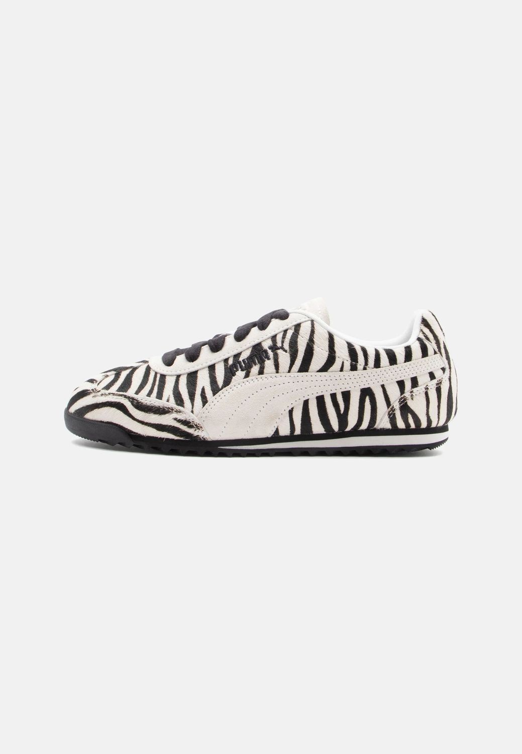 Puma Arizona Cebra