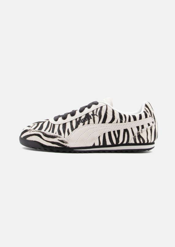 PUMA cebra