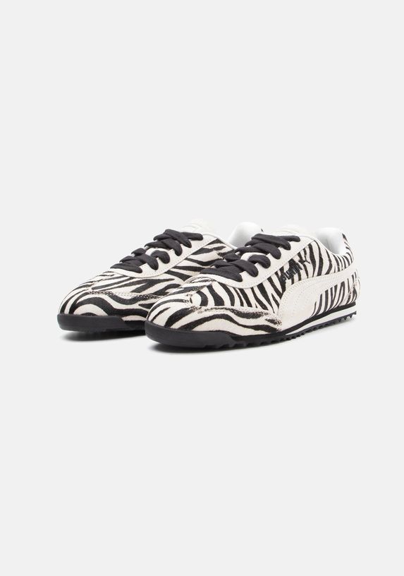 PUMA cebra