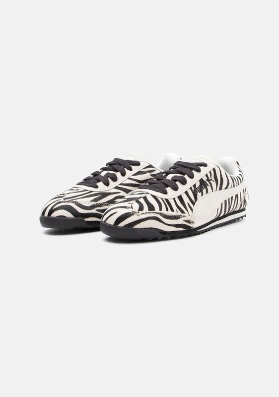 PUMA cebra PUMA cebra