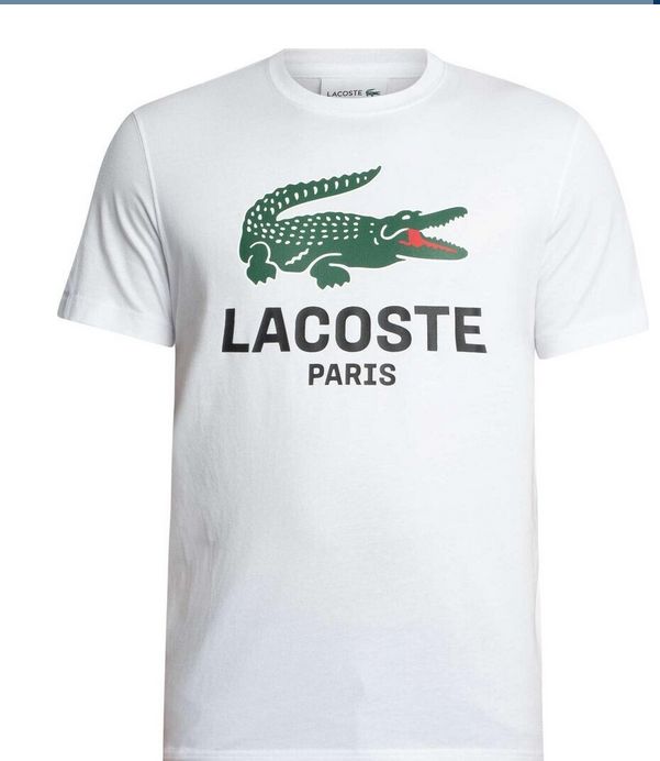 CAMISETA LACOSTE LOGO GRANDE