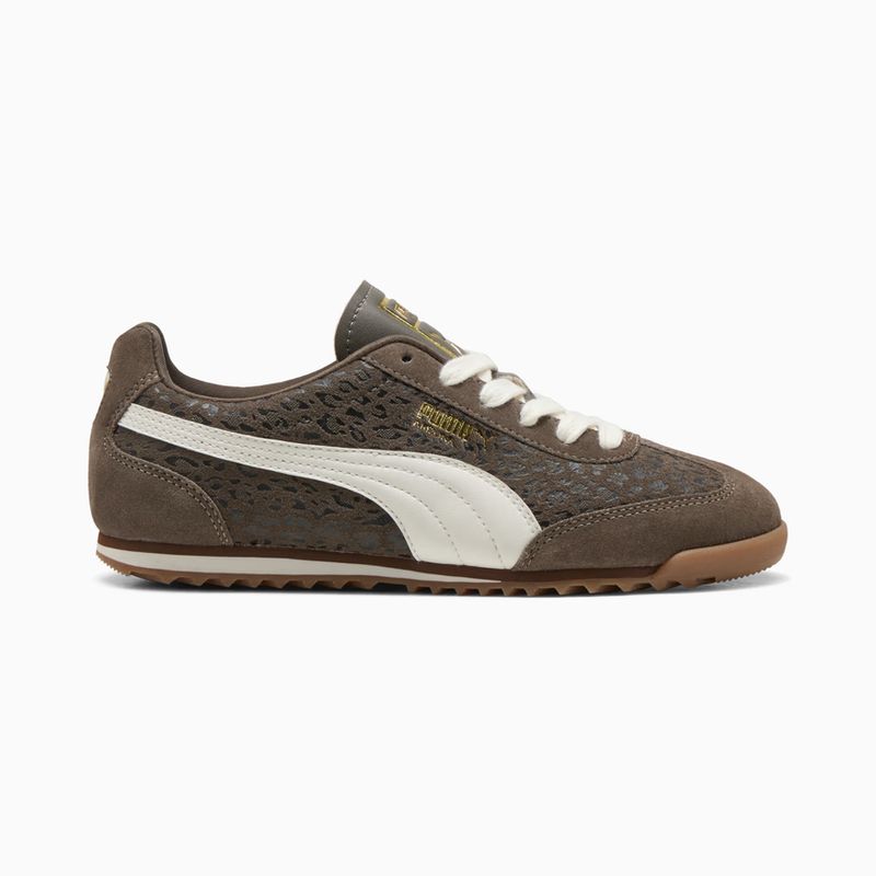PUMA ARIZONA Bronce