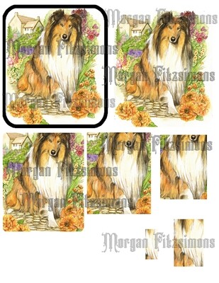 3D Collie Sheet