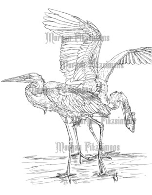 Bird Heron Combo - Digital Stamp
