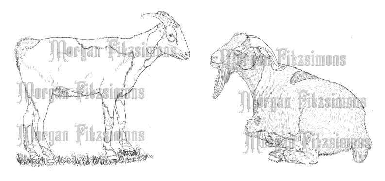 Farm Goats - Digital Stamp
