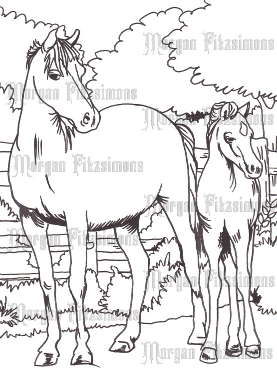 Story Talk Horse Riders 6 - Colouring Page