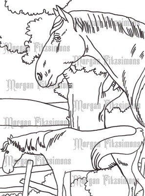 Story Talk Horse Riders 7 - Colouring Page