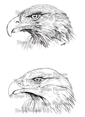 Eagles - Digital Stamp