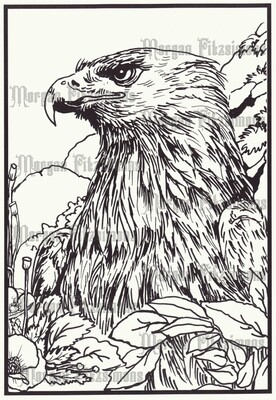 Eagle 1 - Colouring Page
