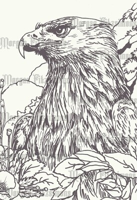 Eagle 2 - Colouring Page