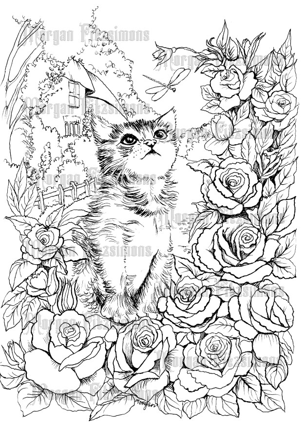 Cat And Dragonfly - Colouring Page
