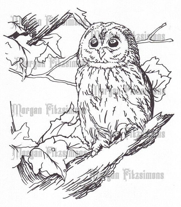 Owl 1 - Digital Stamp