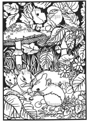 Mice And Mushrooms - Colouring Page