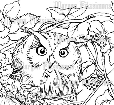 Owl 2 - Colouring Page