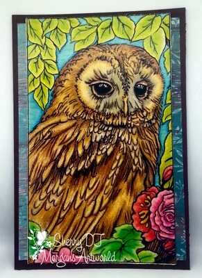My Owl - Colouring Page