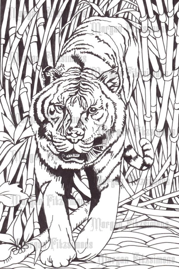 Tiger - Colouring Page