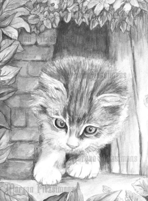 Kitten 4 Greyscale - Colouring Page