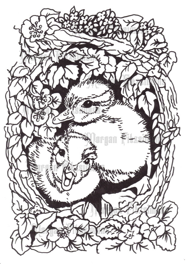 Ducklings - Colouring Page