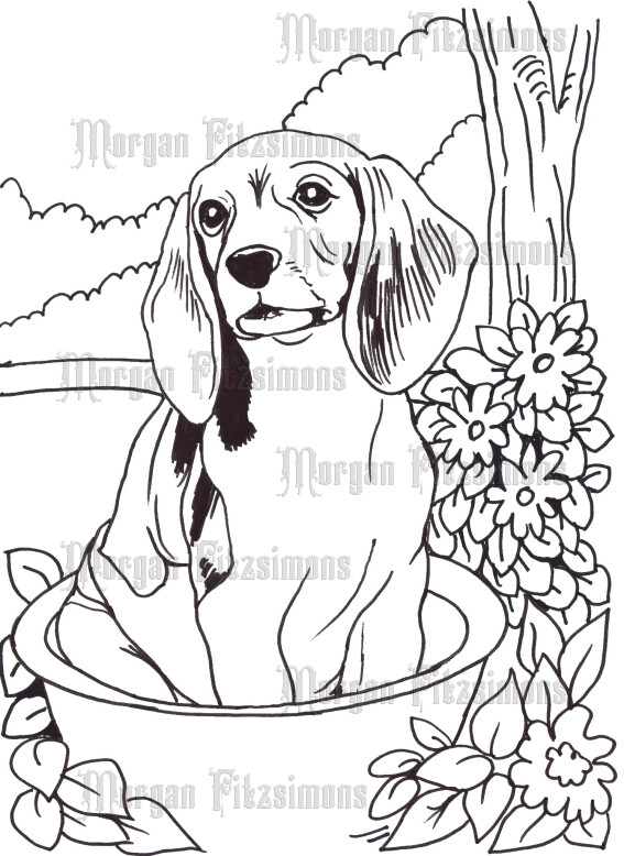 Baby Beagle - Colouring Page