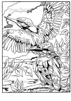 Kingfishers - Colouring Page