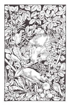 Hedgehog Mouse - Colouring Page