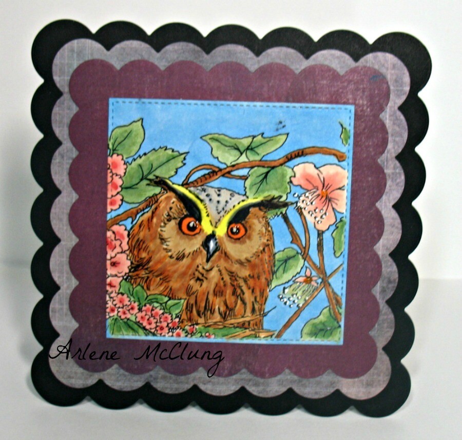 Owl 2 - Digital Stamp