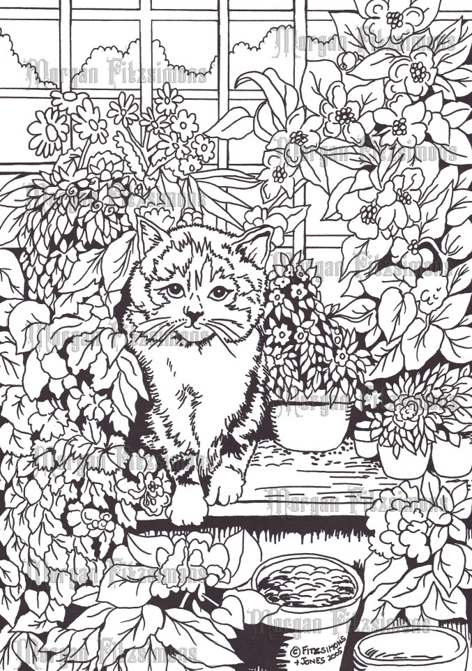 Cats 3 - Colouring Page