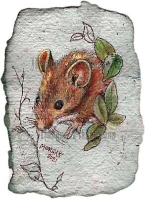 Go Wild Collection: Wood Mouse