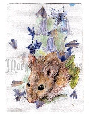 GO Wild Collection: Mouse in the Bluebells