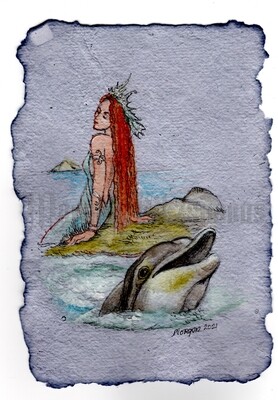 Go Wild Imagine Collection: Selkie and the Dolphin