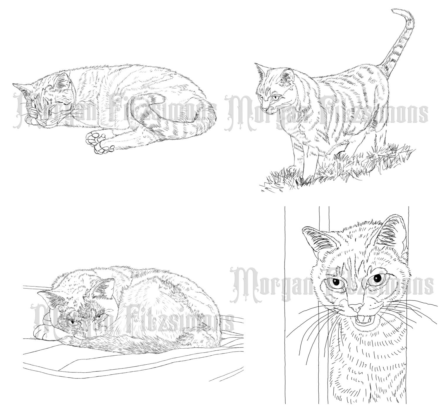 Cats Bundle - Digital Stamp