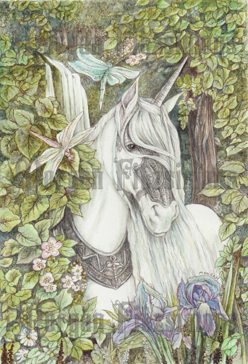 ​Dragonfly and Unicorn