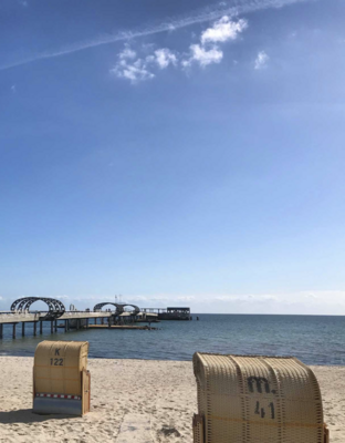 Ein Jahr Gastbeitrag Schleswig-Holstein