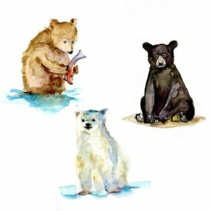 Polar, Grizzly, Black Bear Cub Watercolor Art Prints