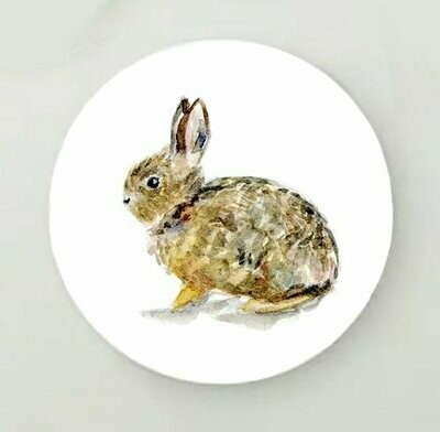 Wall circle with Baby hare illustration