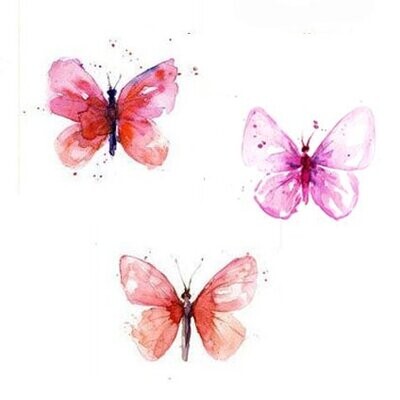 Butterflies and insects