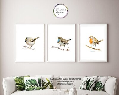 Set of 3 bird prints with a red robin, bluethroat and goldcrest