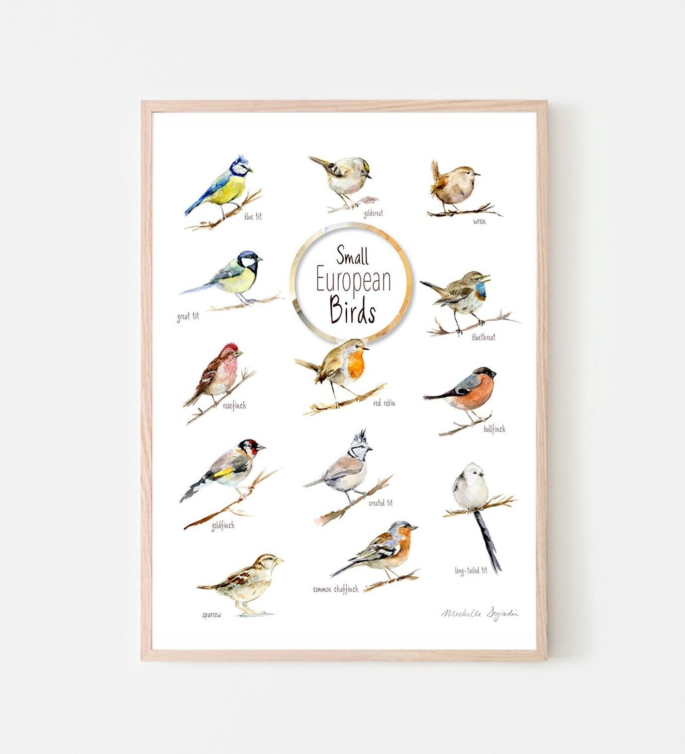 European birds poster